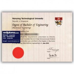 Diploma from Nanyang Technological University